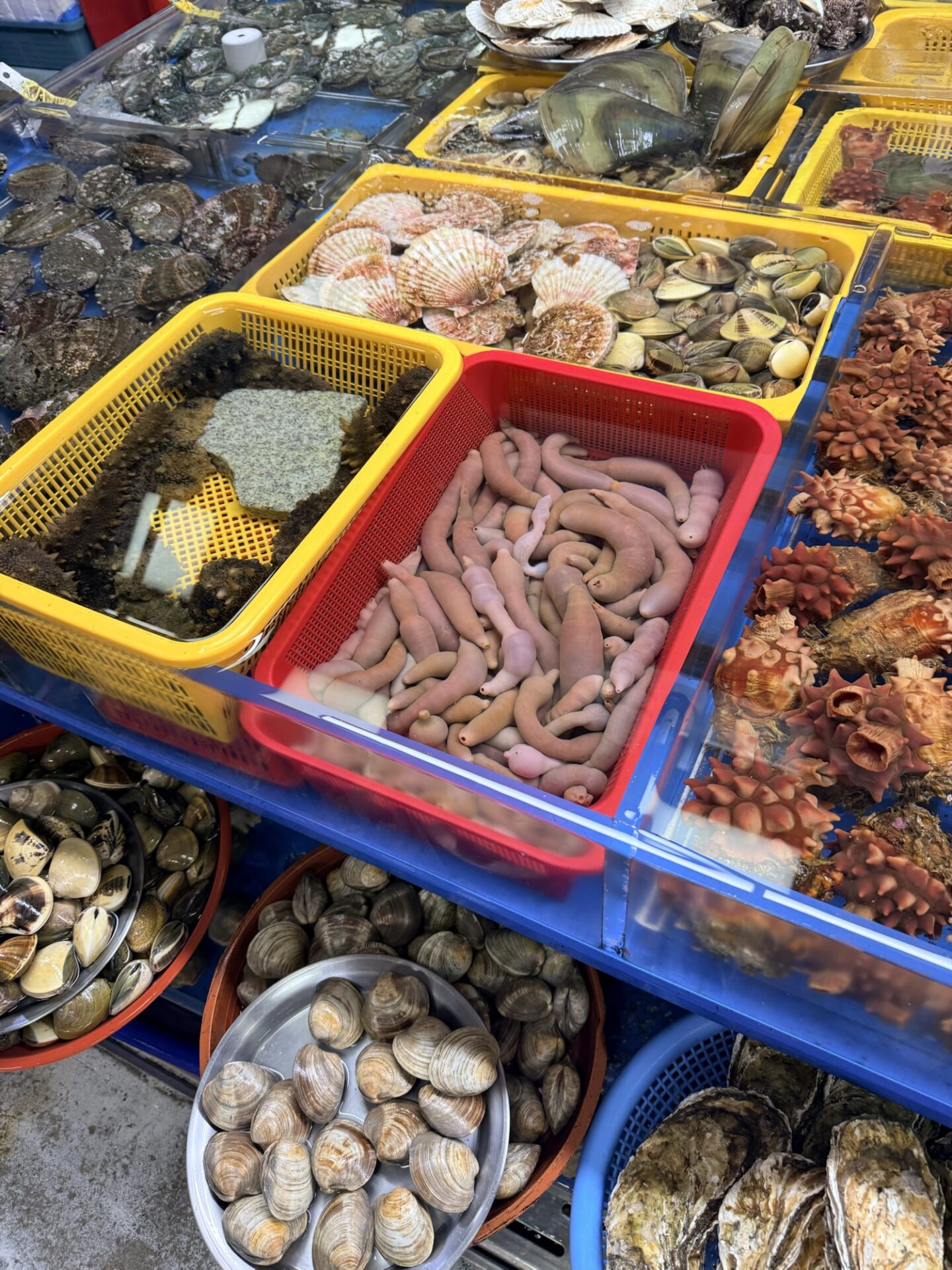 チャガルチ市場の海鮮売り場で容器に並ぶタコなどの魚介