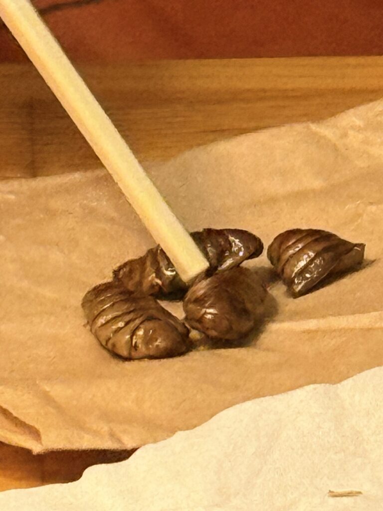 水煮缶のポンテギ
